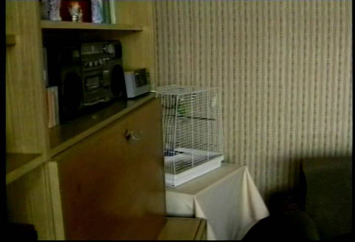 Naturist buddies vol.3 - 1